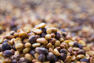Raw coffee beans roasting to see the texture, business coffee concept