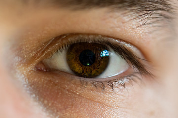 brown eye, macro