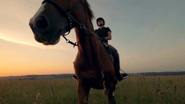 Brown mare is getting ridden by a female equestrian across an open field