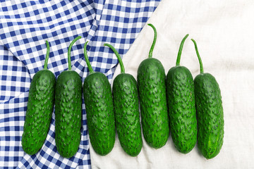 Cucumber on wooden background
