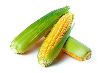 corn isolated on white background