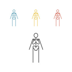 Skeleton human anatomy. Vector sign.