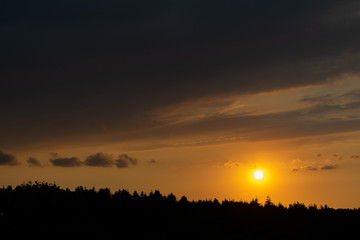 Sunset behind trees