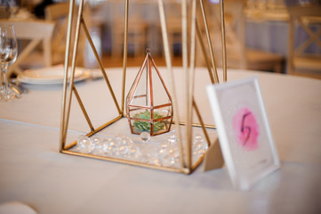 Succulent in the golden terrarium and table number standing