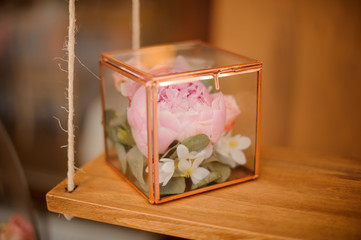 Tender pink peony flower in the terrarium