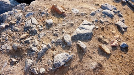 Granite stones in the ground, emerging to the surface.