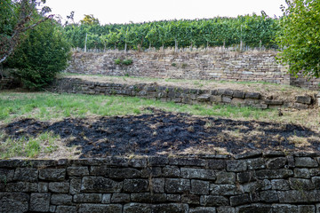 Kloster Maulbron Klostergarten