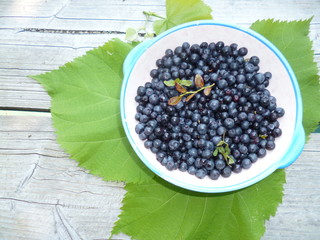 mountain forest black currant with leaves on a plate, leaves,  wooden table.