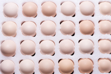 Fresh eggs in hard paper package sold