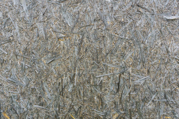 Gray wood background of shovels (DSP). Texture of old shavings