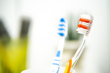 2 toothbrushes in a cup
