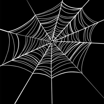 Spider Web On Black Background.