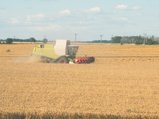 Wheat Harvesting with Combine Harvester