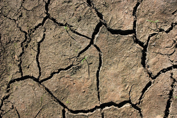 Earth in cracks