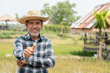 Portrait happy mature older man is smiling. Old senior farmer with white beard thumb up feeling confident. Elderly asian man standing in a shirt and looking at camera at rice field in sunny day.