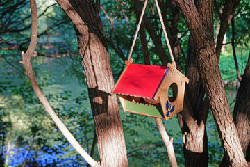 Birdhouse with a red roof hanging on a tree near the river.