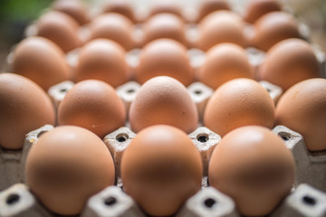 Chicken eggs in the pack with shallow depth of field
