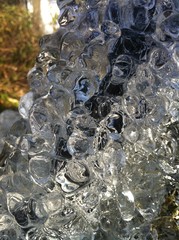 Ice Sculpture