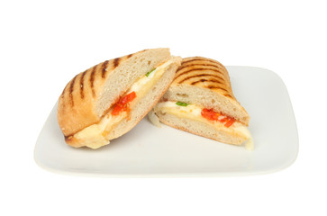 Cheese and tomato panini