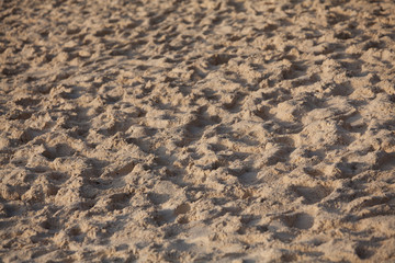 Sand on a beach