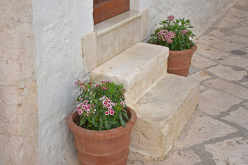 Italy, Puglia region, Locorotondo,  a whitewashed village in the Itria valley, with its medieval historical center full of stairs, balconies, flowers, arches, frescoed churches, and details