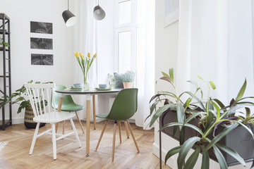 Modern interior of living room with family table and lot of plants. White walls with mock up graphics project and brown wooden parquet.