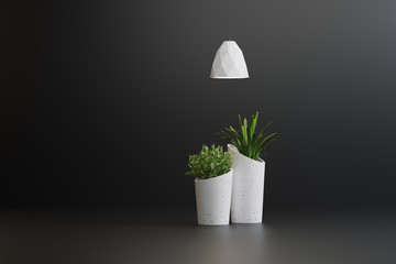 studio shot of lamps and plants in vases on a black background