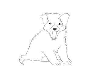 dog sitting, lines, vector