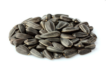 Sunflower seeds close-up isolated.