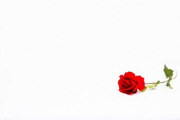 The fake beautiful red rose is laying down on the white background with copy space and isolated on white background. The red rose is represented of romantic, love with white screen background