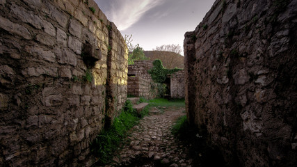 burgruine