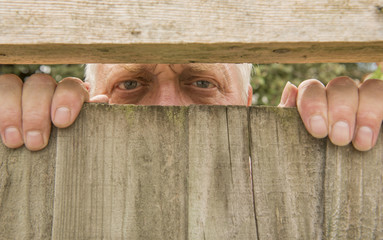 Mature man spying through a wooden fence in the garden  - obrazy, fototapety, plakaty