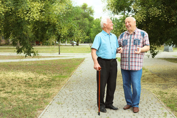 Elderly men spending time together in park