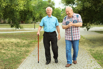 Elderly men spending time together in park