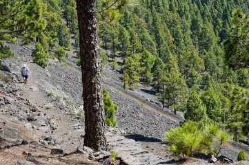 Vulkan Route La Palma Kanaren