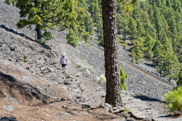 Fototapeta premium Vulkan Route La Palma Kanaren