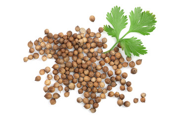 coriander seed and leaves isolated on white background. Top view. Flat lay pattern