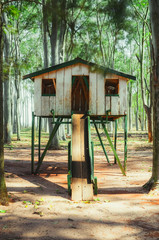 Fototapete bei efototapeten.de bestellen   