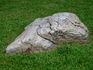 Fototapeta na wymiar Decorative stone on grass