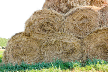 Bales of meadow hay