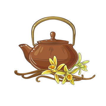 vanilla tea illustration