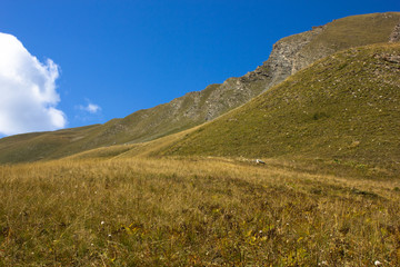 Fototapeta na wymiar Mountain landscape with clear blue sky, Alpine pass, Alpes-de-Haute-Provence, France