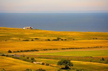 golden fields by the sea