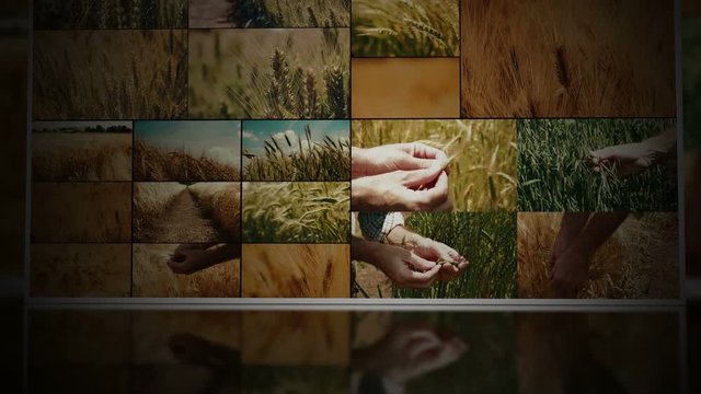 Agriculture and agricultural activities on multiple screens