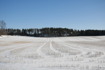 bended lines