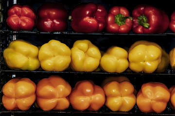 Horizontal shelves holding red yellow and orange sweet peppers against a black background