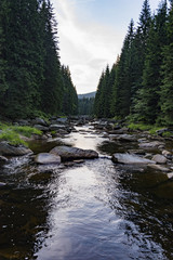 The river flows through the valley. There are forests on around. Typically monoculture nature.