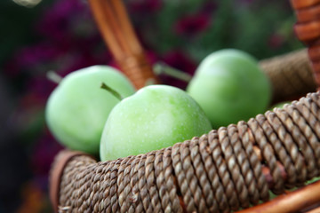 green Apple Basket garden 