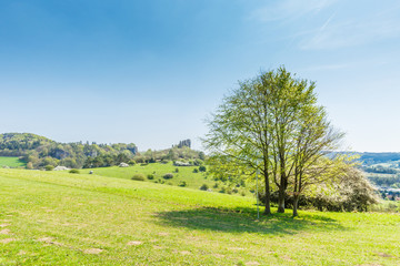 View from Bungalow park Felsenhof on gentle slope with green meadow towards the Dolomite rocks called Munterley and town of Gerolstein