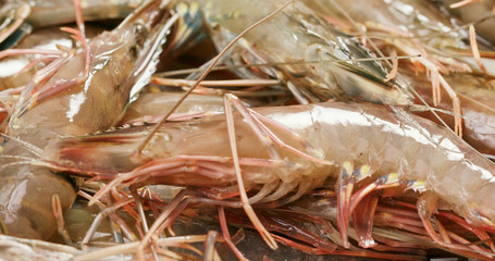 Uncooked fresh raw shrimp